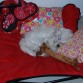 lunita en su cama